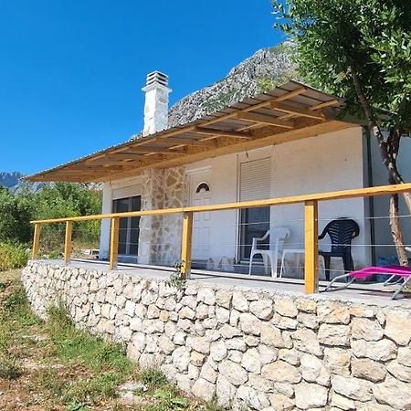 Home Of Laurel Kotor Extérieur photo