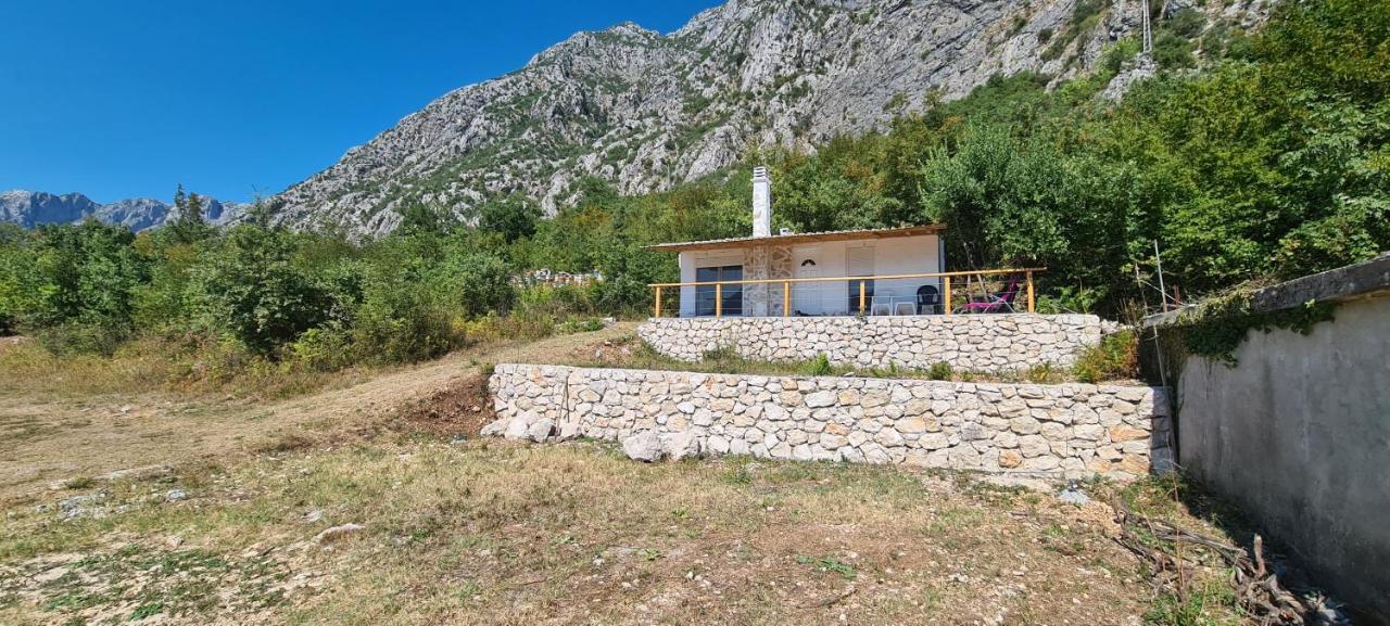 Home Of Laurel Kotor Extérieur photo
